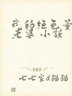 我的绝色董事长老婆 小说