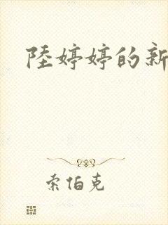 陆婷婷的新故事