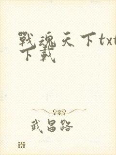战魂天下txt下载