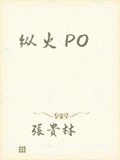 纵火 PO