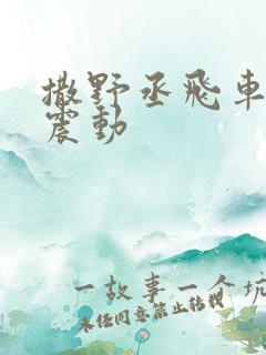 撒野丞飞车道具震动