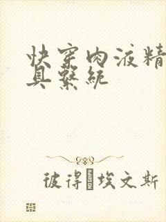 快穿肉液精华玩具系统