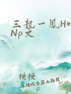 三龙一凤H啪肉Np文