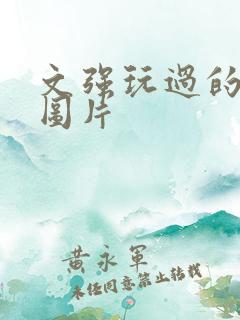 文强玩过的女人图片