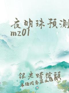 夜明珠预测 ymz01