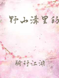 野山沟里的村庄