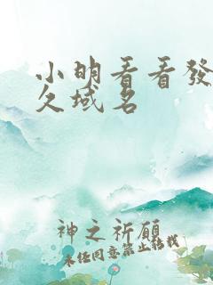 小明看看发布永久域名