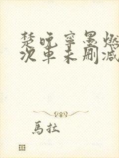 楚晚宁墨燃第一次车未删减