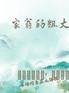 家翁的粗大