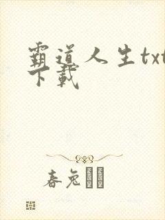 霸道人生txt下载