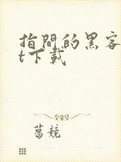 指间的黑客txt下载