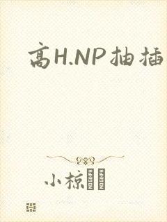 高H.NP抽插
