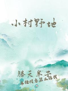 小村野地