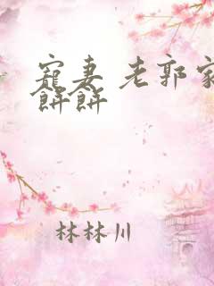 宠妻 老郭家的饼饼