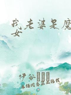 我老婆是魔法少女
