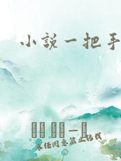 小说一把手