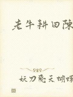 老牛耕田陈雪
