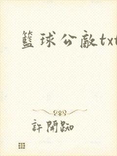 篮球公敌txt