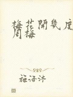 梅花开几度老张周梅