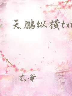 天鹏纵横txt