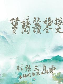 错嫁替婚总裁免费阅读全文