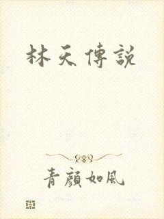林天传说