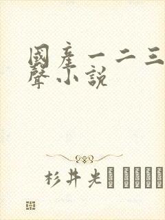 国产一二三区有声小说