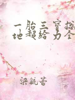 一胎三宝总裁爹地超给力全文免费阅读