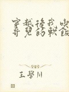 穿越后我吃到了哥儿的软饭炉山灰