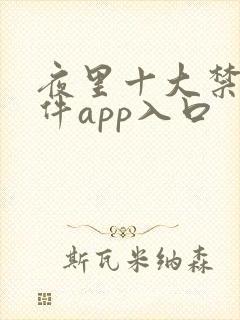 夜里十大禁用软件app入口