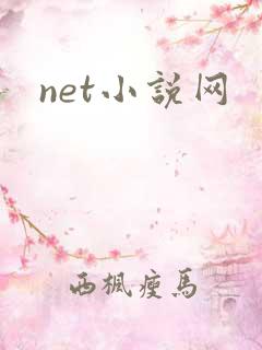 net小说网
