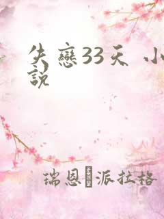 失恋33天 小说
