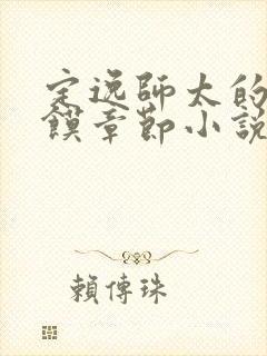 定逸师太的肉夹馍章节小说