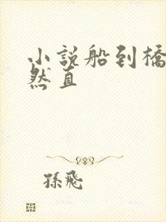 小说船到桥头自然直