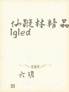 仙踪林精品zzlgled