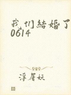 我们结婚了130614