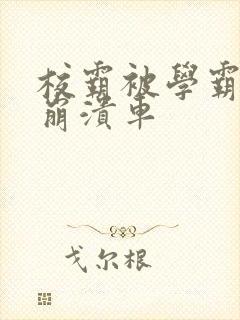 校霸被学霸玩到崩溃车