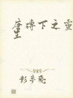 唐砖下之灵域双生