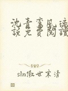 沈青鸾风璃宸小说免费阅读