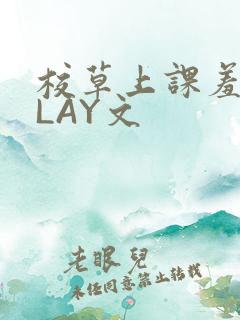 校草上课羞耻PLAY文