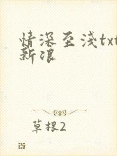 情深至浅txt新浪