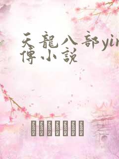 天龙八部yin传小说