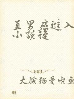 直男癌进入言情小说后