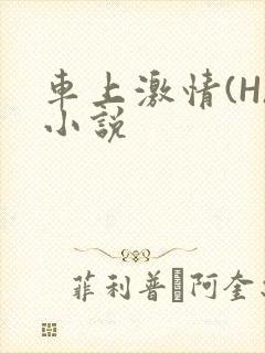 车上激情(H)小说