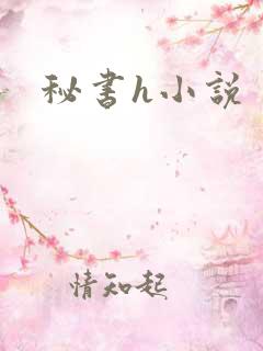 秘书h小说
