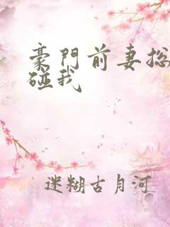 豪门前妻总裁别碰我