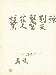 校花系列辣h文黑人宫交