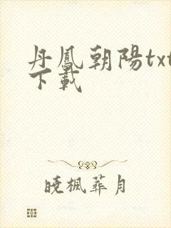 丹凤朝阳txt下载