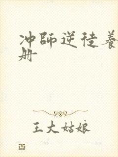 冲师逆徒养成手册