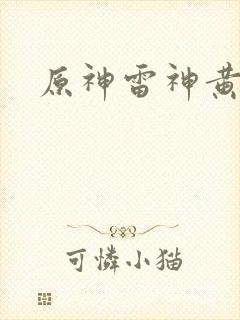 原神雷神黄本本